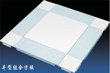 Combination ceiling system