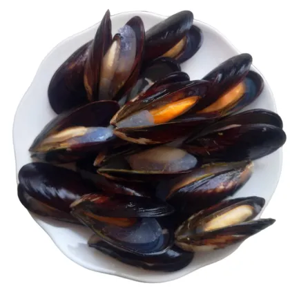 Hot Sale Seafoods Fresh Frozen Blue Mussel price
