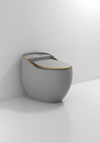Toalety sanitarne z nowym projektem z nowym projektem
