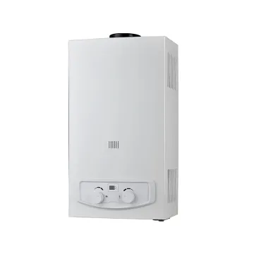 New flue type 6L domestic gas water heater