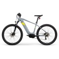 Mountain Electric Bike 25 Mph