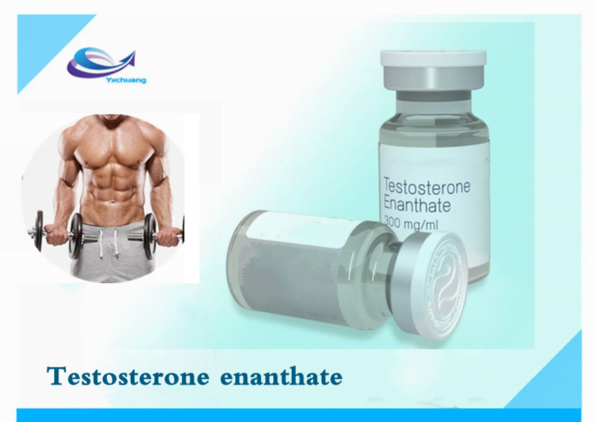 Testosterone enantate 315-37-7 Bodybuilding Steroid Powder