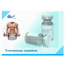 Testosterone enantate 315-37-7 Bodybuilding Steroid Powder