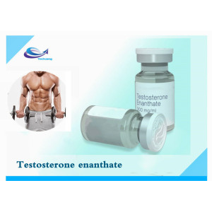 Testosterone enantate 315-37-7 Bodybuilding Steroid Powder