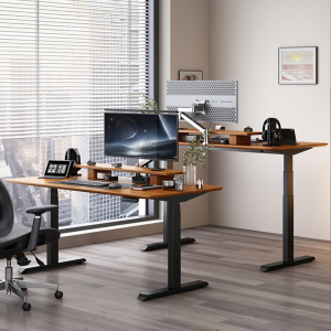 Best Budget Height Adjustable Desk