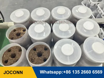 PP Plastic Edible Fungus Spawn Cultivation Bottles for Enoki and Eryngii Mushrooms