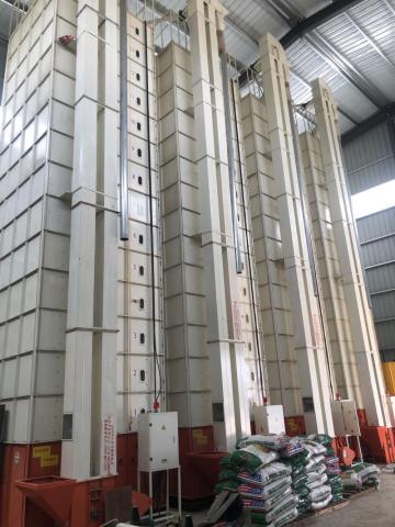 Auto ricemill grain dryer with grain suction machine