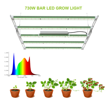 Sistema de cultivo de hidroponia em interior