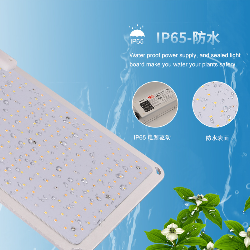 200W LED تنمو ضوء مستودع