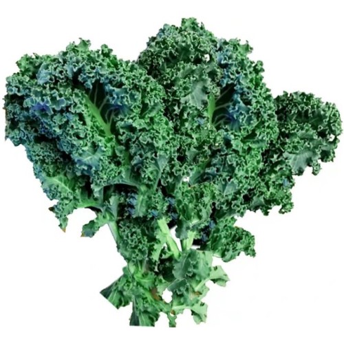 Food Ingredients kale juice powder