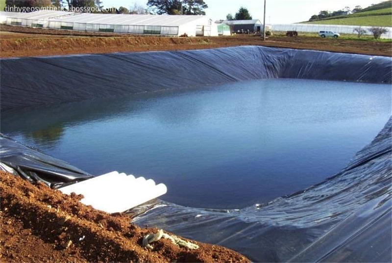 Doublure fiable d'étang à poissons en membrane PEHD pour jardins et  piscines s