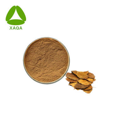 Hawthorn Leaf Extract Powder 10:1 Vasodilator Protection