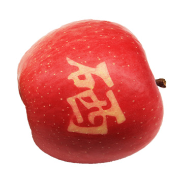 Bulk fresh apple fruit for sale 2019 new crop red fuji fruits apples