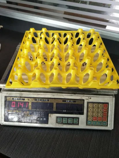 Moden design plastic injection egg tray mould maker