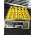 Moden design plastic injection egg tray mould maker