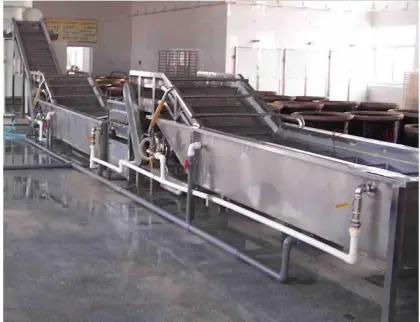 Professional Vegetable and Fruit Washer: Green Vegetable Washing Machine