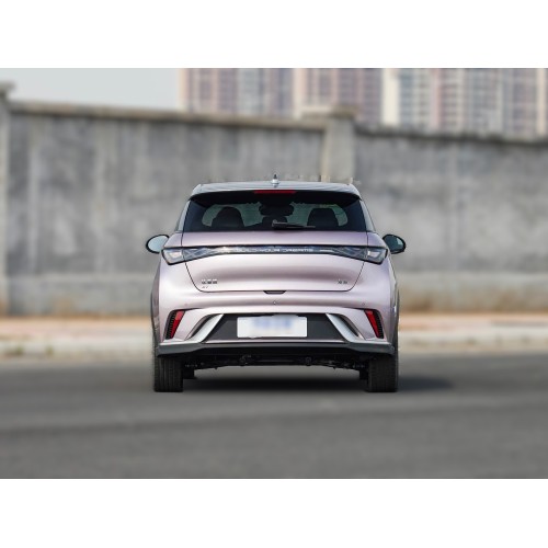 2025 BYD Dolphin 520 km Knight Edition