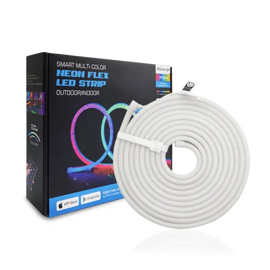 2022 New LED Neon Strip Light: Dream Color IP68 Waterproof