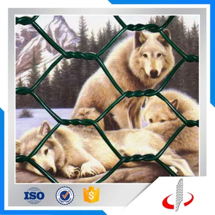 Galvanized Hexagonal Chicken Wire Mesh for kenya farms