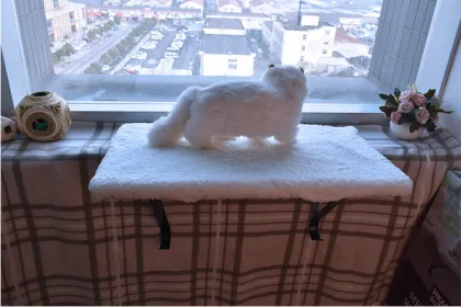cat window perch sunny cat hammock bed