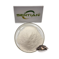 High Quality Sunflower Seed Protein Extracts