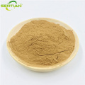 High-Quality Senna Leaf Extract