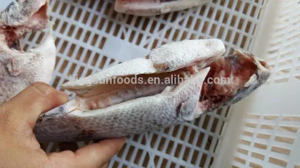 Frozen Black Tilapia Fish Moon Cut