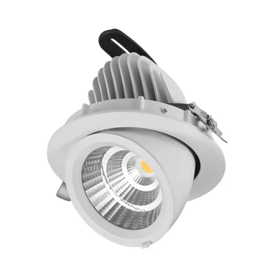 40W COB LED Downlight Adjustable Gimbal Spot Light for Fresh Meat Display with Pink Color