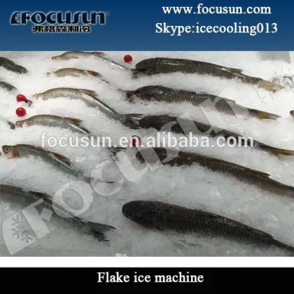 Frozen flake ice machine/ Flake ice making machine