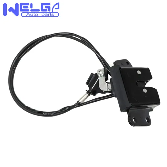 Hot Sale High Quality Rear Tailgate Back Door Lock Assembly for Toyota 4Runner 1998-2002