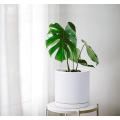 Indoor Cylinder Round Planter Pot