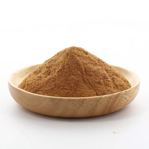 High Quality Cnidium Officinale Root Extract Natural Plant Extract Ligusticum Chuanxiong Hort Extract Manufactory