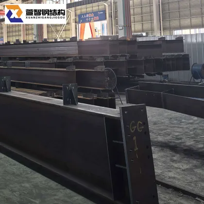 Innovative Steel Structural Designs