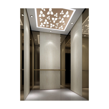 Commercial and Office Building Passenger Elevators: Indoor and Outdoor Solutions