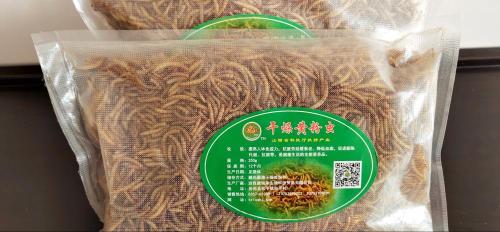 Dried Mealworms contain Rich Protein