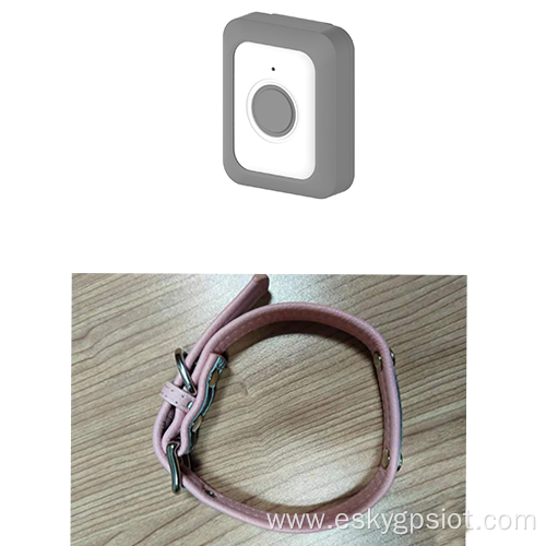 Small Dog GPS Tracker