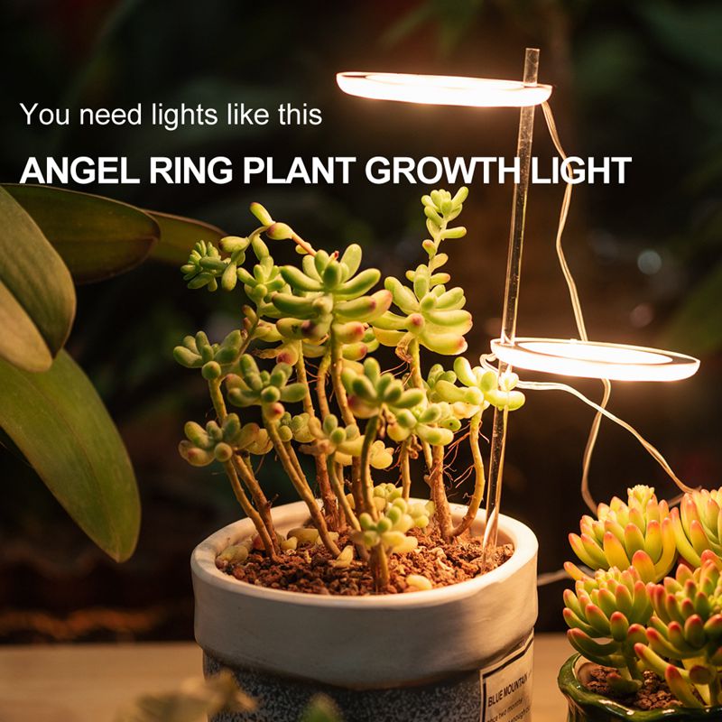 Angel Ring Grow Light 5