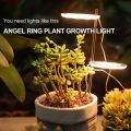 Grow Light DC5V USB Vollspektrum Phytolampe