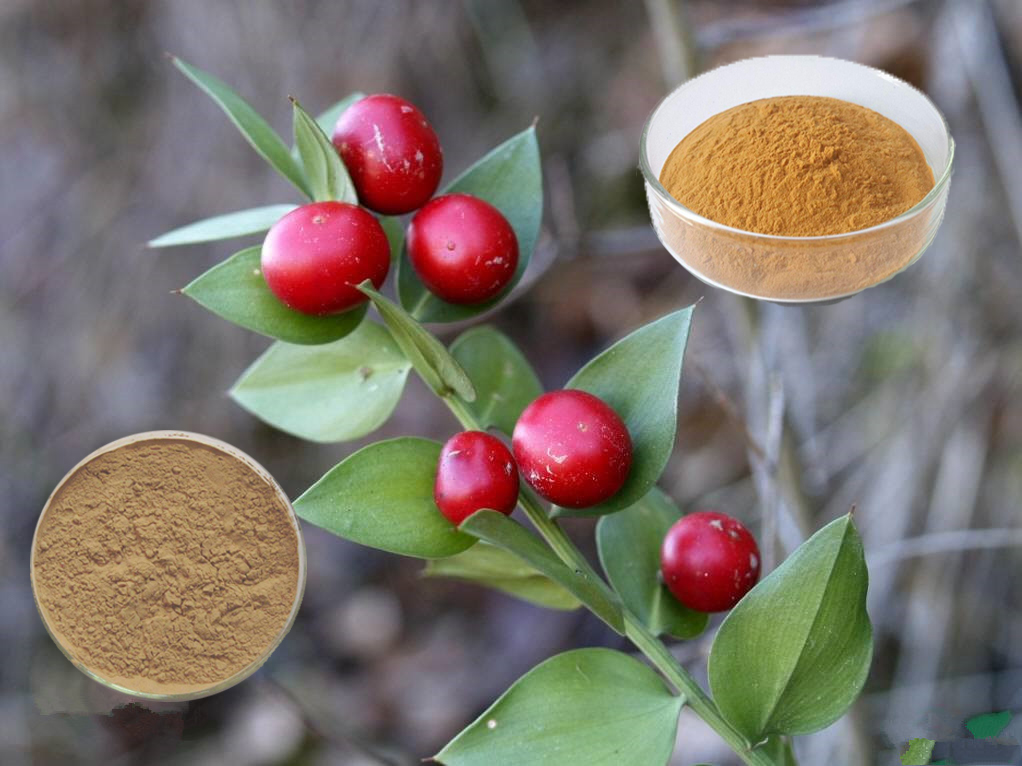 Ruscus Aculeatus Root Extract