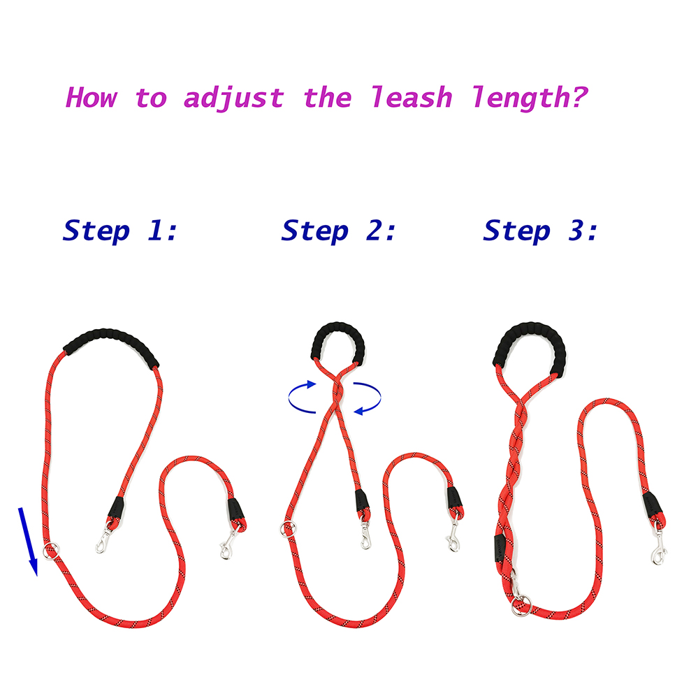 dog leash with handle