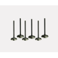 Intake Valve 3920867 for Engine
