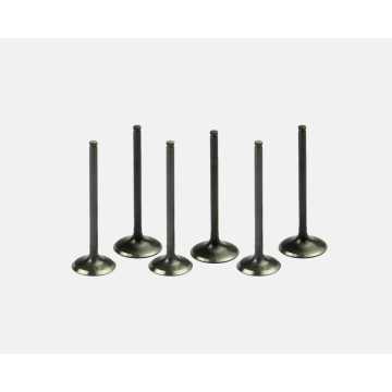 Intake Valve 3920867 for Engine