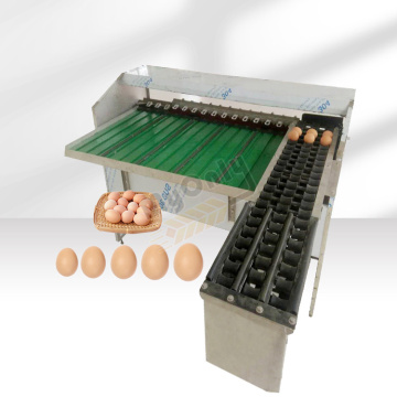 Egg Washing and Sorting Machine