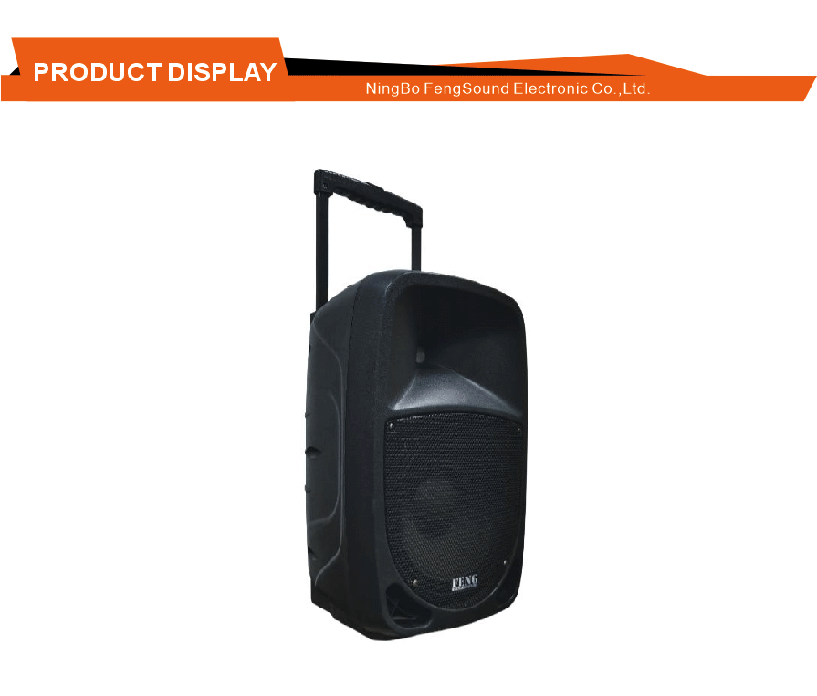 Remote Control Portable PA