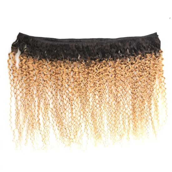 New beautiful colors 100% Human hair extension ombre color natural straight hair weft