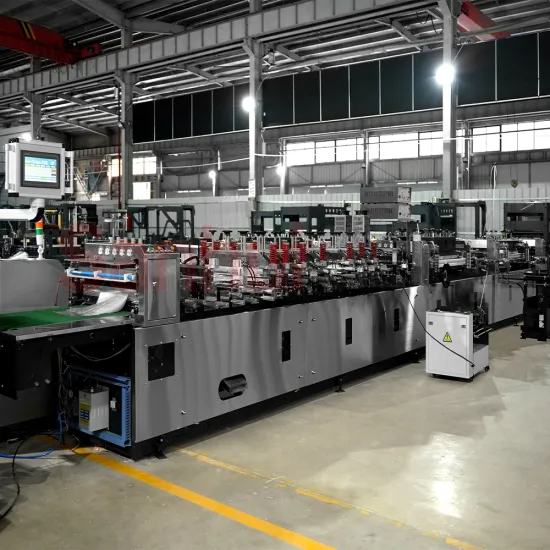 Food Grade Zipper Bag Machinery: Manufacturing Side Seal Plastic Ziplock Bags