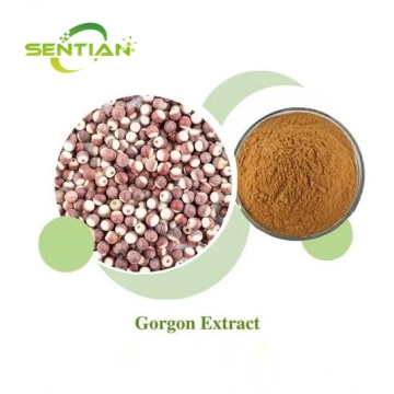 Natural Gorgon Extract 10: 1 Gorgon Extract Powder