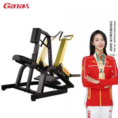 Seated Rower Free Weight Gym Exercise Equipment