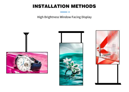 Digital Floor Signage and LCD Window Advertising Displays