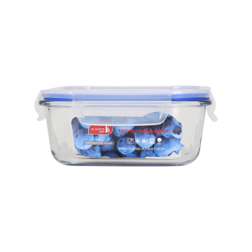 Glass Bento Lunch Box